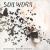 Soilwork - Natural Born Chaos