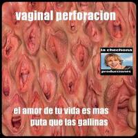el amor de tu vida es mas puta que las gallinas