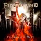 22-05-2012 - Firewind - Few Against Many