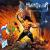 Manowar - Warriors of the World