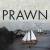 Prawn - Ships