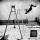 This Drama - The Wasted Youth