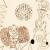 Devendra Banhart - Rejoicing in the Hands
