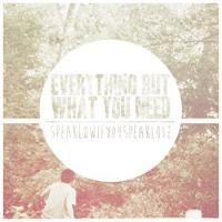 Everything But What You Need