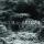 Loma Prieta - I.V. Loma Prieta - I.V.