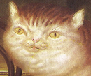 Avatar de Usuario