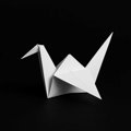 USER_AVATAR