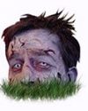 Avatar de Usuario