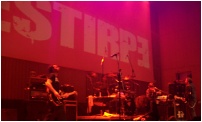 Estirpe