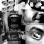 Monkey Hole - Psychophonies From A Violent Party