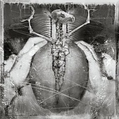 Skinlab - Nerve Damage