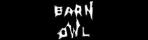 Barn Owl
