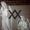 Liturgy - The Ark Work