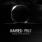 Raised Fist - From the North