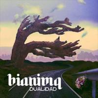 Dualidad