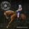 Steve 'n' Seagulls - Brothers In Arms
