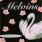 Melvins - Stoner Witch