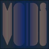 Voids
