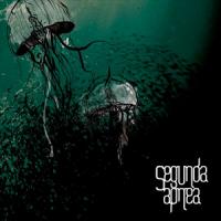 Segunda Apnea