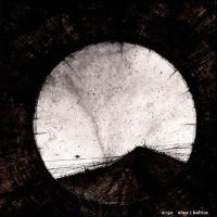 Alma | Baltica