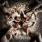 Hate - Anaclasis – A Haunting Gospel of Malice & Hatred