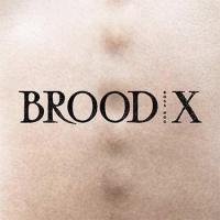 Brood X