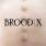Boss Hog - Brood X