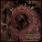 Hyperdontia - Nexus of Teeth