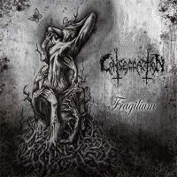 Fragilium
