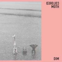 DIM