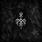 Wardruna - Kvitravn