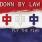 Down By Law - Fly the Flag