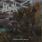 Lie In Ruins - Floating in Timeless Streams