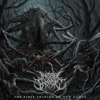 The First Shining Of New Genus