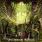 Unfathomable Ruination - Decennium Ruinae