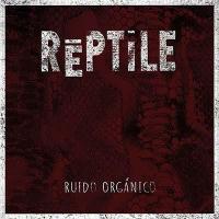 Ruido Orgánico