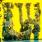 King Gizzard & The Lizard Wizard - L.W.