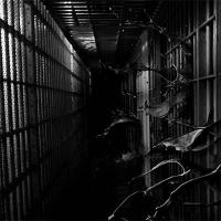 Institution
