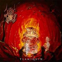Tlamiquih