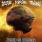 Brute Force Trauma - World is Burning
