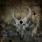 Demon Hunter - Storm The Gates Of Hell