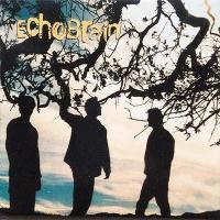 EchoBrain