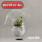 No Fun At All - Seventh Wave
