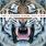 30 Seconds To Mars - This Is War