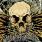 Hail!Hornet - Disperse The Curse