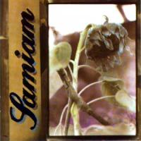 Samiam