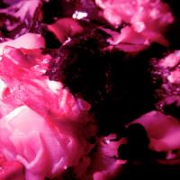 Fe Y Carne