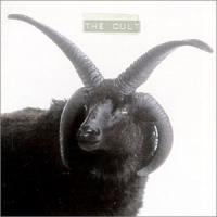 The Cult