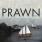 Prawn - Ships
