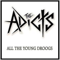 All the Young Droogs